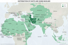 shadow Foundation of Scientific Studies