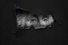 shadow Foundation of Scientific Studies