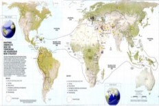 shadow Foundation of Scientific Studies