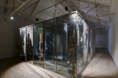 shadow Foundation of Scientific Studies