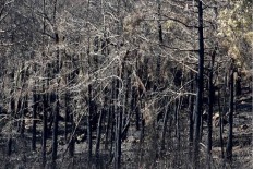 shadow Foundation of Scientific Studies