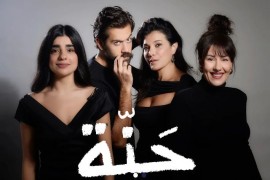 shadow Foundation of Scientific Studies