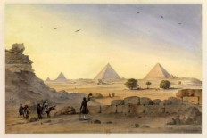 shadow Foundation of Scientific Studies