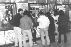 shadow Foundation of Scientific Studies