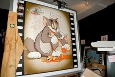 shadow Foundation of Scientific Studies