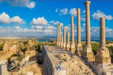 shadow Foundation of Scientific Studies