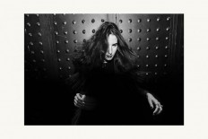 shadow Foundation of Scientific Studies