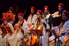 shadow Foundation of Scientific Studies