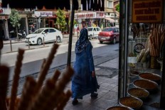 shadow Foundation of Scientific Studies