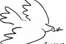 shadow Foundation of Scientific Studies