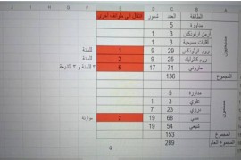 تهميش صامت وخسارة متراكمة... كيف يفقد المسيحيّون مواقعهم في الدولة؟