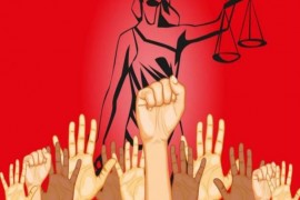 الديمقراطية وحماية الحقوق