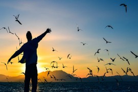 الحرية ـ استحالة الفرضية الليبرالية