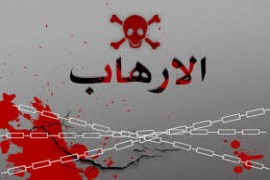 العنف والإرهاب وما بينهما